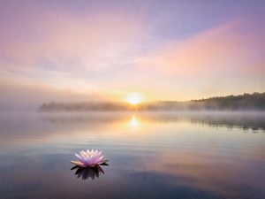 leadership and self-neglect, healing journey 2026, word of the year, burnout recovery, high achievers health, self-cue psychology