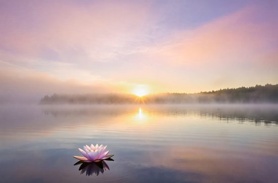 leadership and self-neglect, healing journey 2026, word of the year, burnout recovery, high achievers health, self-cue psychology